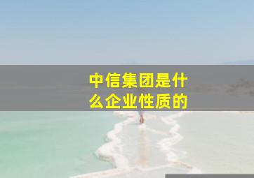 中信集团是什么企业性质的