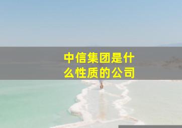 中信集团是什么性质的公司