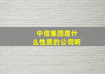 中信集团是什么性质的公司啊