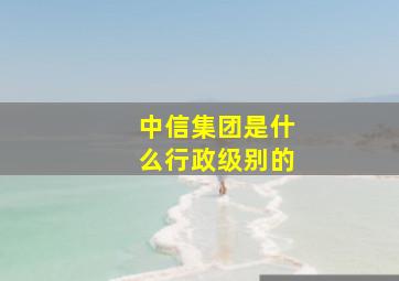 中信集团是什么行政级别的