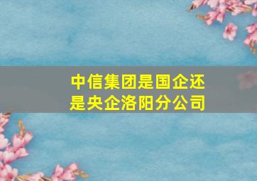 中信集团是国企还是央企洛阳分公司