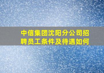 中信集团沈阳分公司招聘员工条件及待遇如何