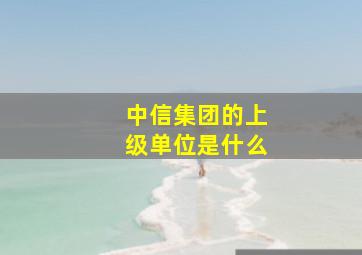 中信集团的上级单位是什么