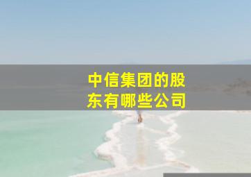 中信集团的股东有哪些公司