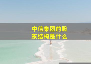 中信集团的股东结构是什么