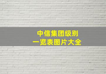 中信集团级别一览表图片大全