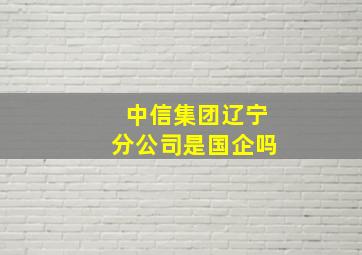 中信集团辽宁分公司是国企吗