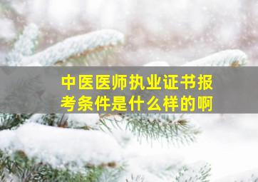 中医医师执业证书报考条件是什么样的啊