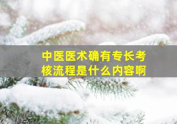 中医医术确有专长考核流程是什么内容啊