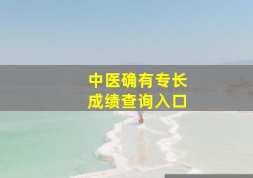 中医确有专长成绩查询入口