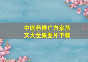 中医药推广方案范文大全集图片下载