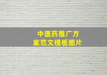 中医药推广方案范文模板图片