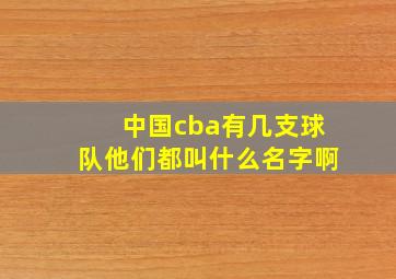 中国cba有几支球队他们都叫什么名字啊