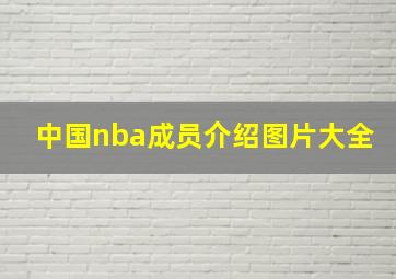 中国nba成员介绍图片大全