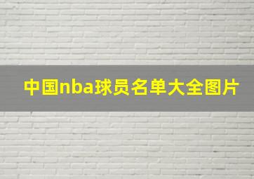 中国nba球员名单大全图片