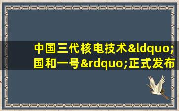 中国三代核电技术“国和一号”正式发布