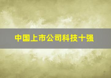 中国上市公司科技十强