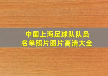 中国上海足球队队员名单照片图片高清大全