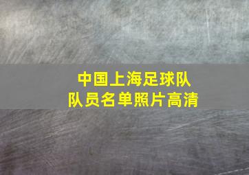 中国上海足球队队员名单照片高清