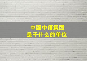 中国中信集团是干什么的单位