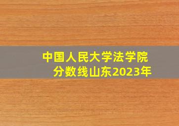 中国人民大学法学院分数线山东2023年