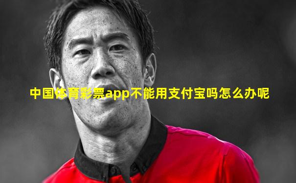 中国体育彩票app不能用支付宝吗怎么办呢