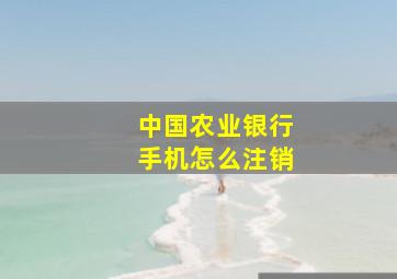 中国农业银行手机怎么注销