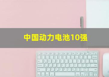 中国动力电池10强