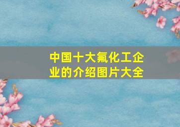 中国十大氟化工企业的介绍图片大全