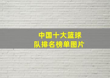 中国十大篮球队排名榜单图片