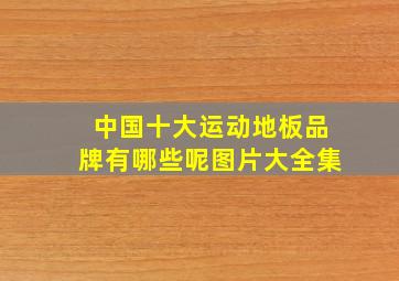 中国十大运动地板品牌有哪些呢图片大全集