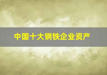 中国十大钢铁企业资产