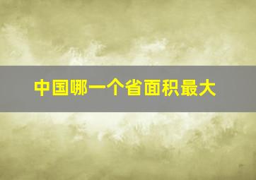 中国哪一个省面积最大