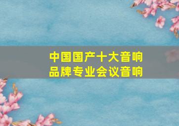 中国国产十大音响品牌专业会议音响