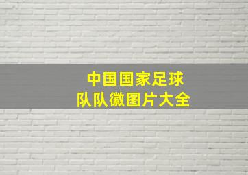 中国国家足球队队徽图片大全