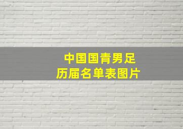 中国国青男足历届名单表图片