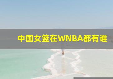 中国女篮在WNBA都有谁