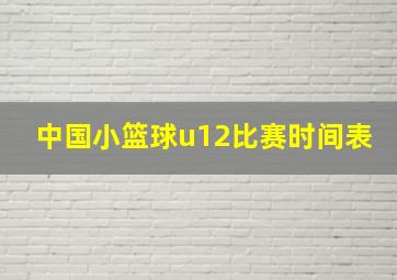 中国小篮球u12比赛时间表