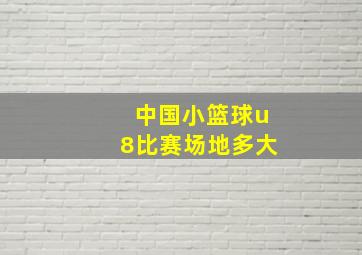 中国小篮球u8比赛场地多大