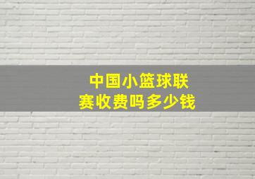 中国小篮球联赛收费吗多少钱