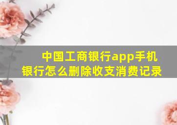 中国工商银行app手机银行怎么删除收支消费记录