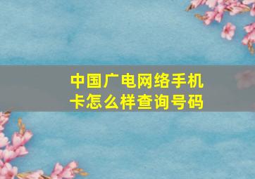 中国广电网络手机卡怎么样查询号码