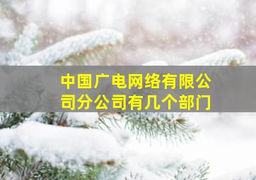 中国广电网络有限公司分公司有几个部门