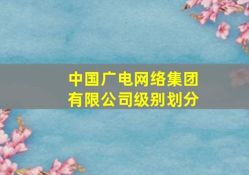 中国广电网络集团有限公司级别划分