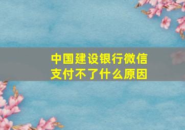 中国建设银行微信支付不了什么原因