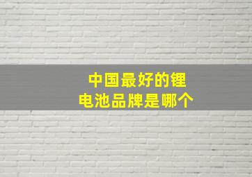 中国最好的锂电池品牌是哪个