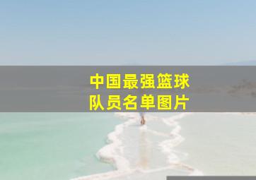 中国最强篮球队员名单图片