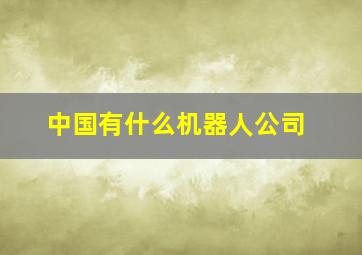 中国有什么机器人公司