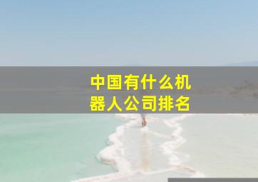 中国有什么机器人公司排名