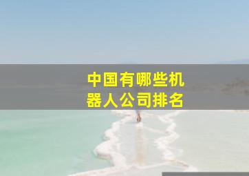 中国有哪些机器人公司排名